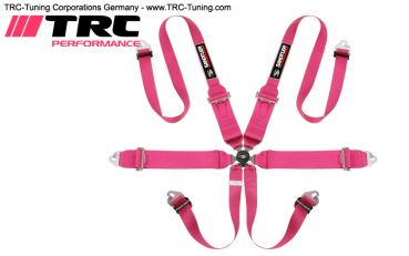 SANDTLER Renngurt 6-Punkt 3"/2" FIA (PINK)