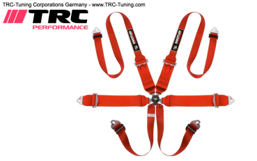 SANDTLER Renngurt 6-Punkt 3"/2" FIA (ROT)