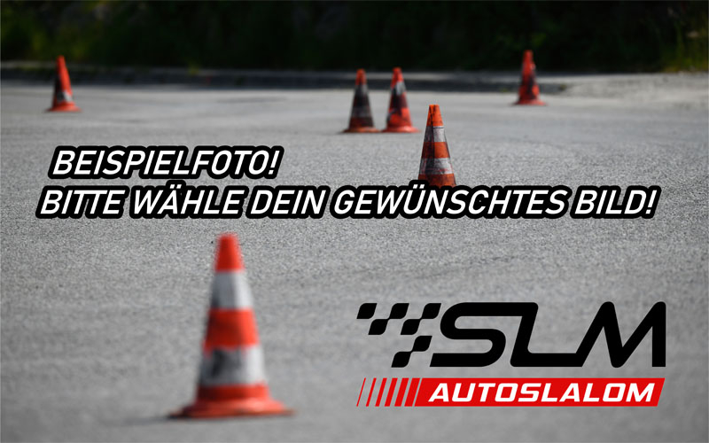 Hochauflösendes SLM Foto 2024 "OBERTRUM" MSC-Flachgau